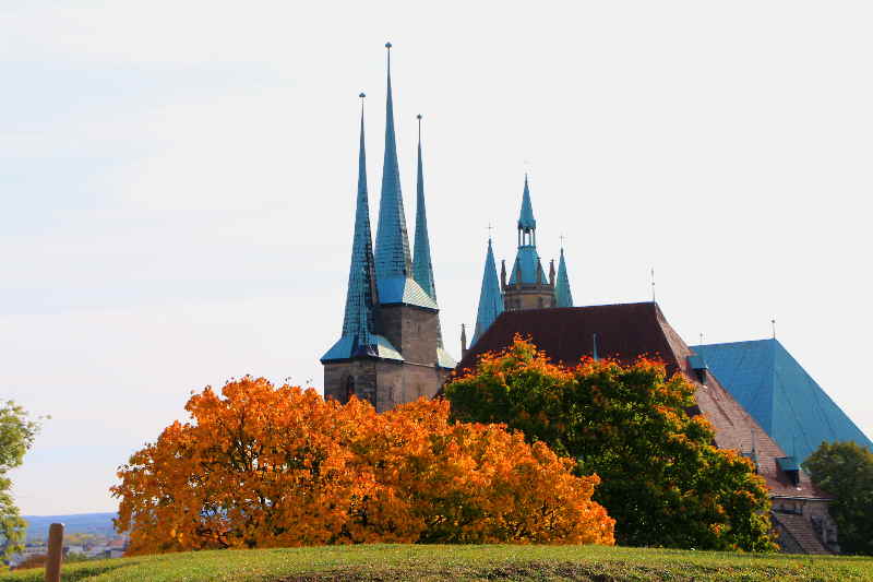 Dom Erfurt im Herbst
